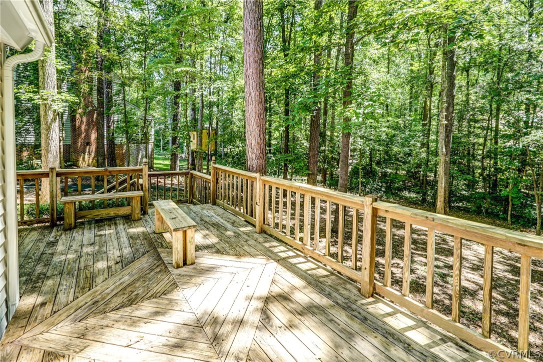 3419 7 Oaks Road Midlothian, VA 23112 - Photo 34 of 46