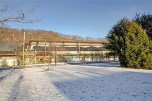 a view of road with trees