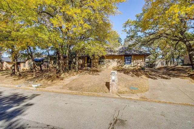 a view of a yard with trees