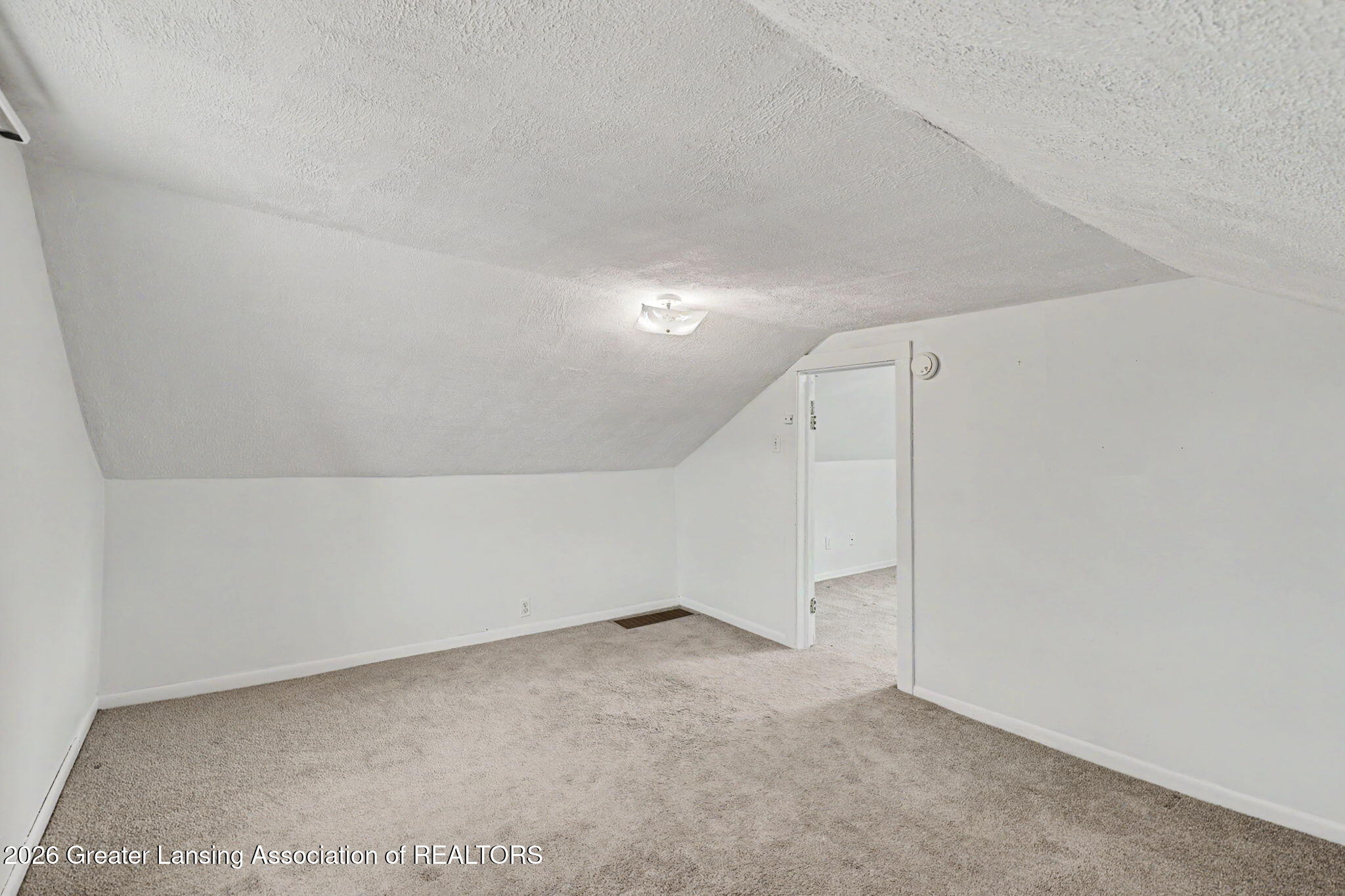 339 Dexter Road Eaton Rapids, MI 48827 - Photo 21 of 34 22-web-or-mls-CQ1A1972
