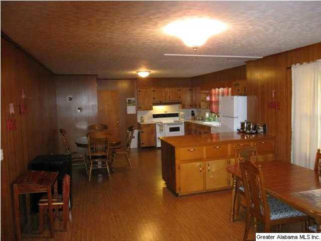56 Brickstore Road Eastaboga, AL 36260 - Photo 3 of 27