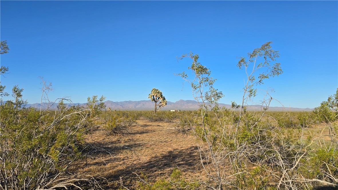 21688 South Roy Rogers Road Yucca, AZ 86438 - Photo 28 of 36 a view of a lake