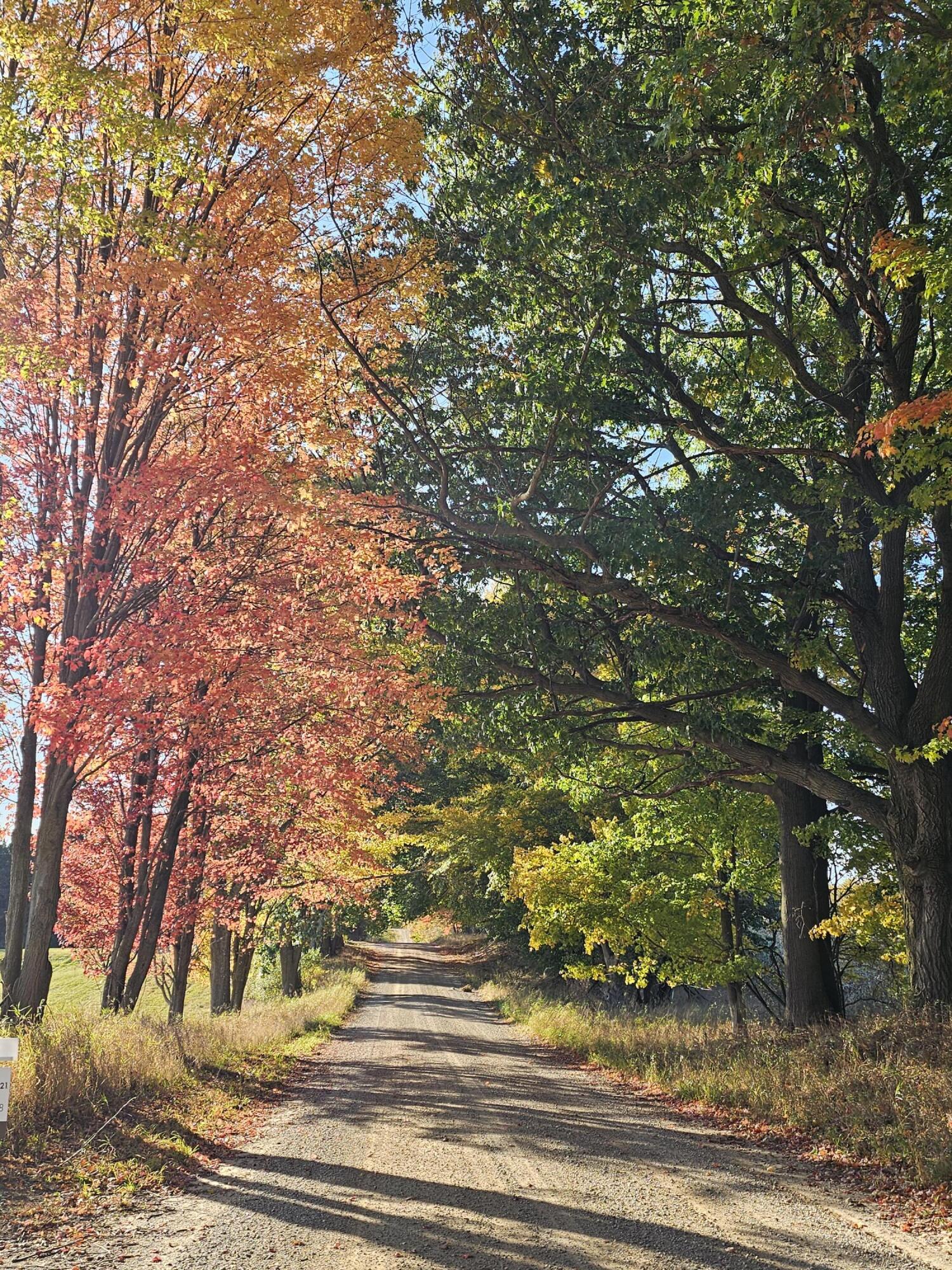 10143 West Jordan Road Remus, MI 49340 - Photo 44 of 45 fall pic 3