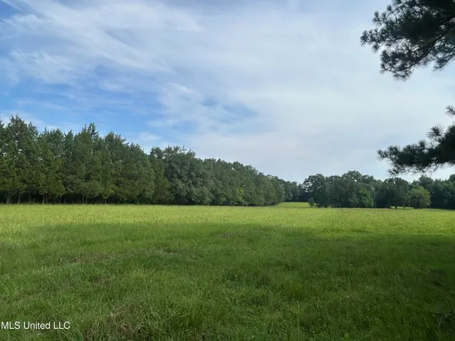 $260,000 | 1 Green Acres Drive, Canton, MS 39046