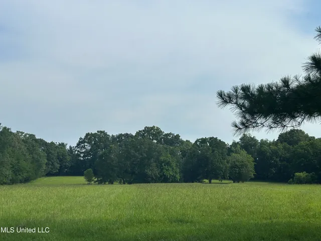 $260,000 | 1 Green Acres Drive, Canton, MS 39046