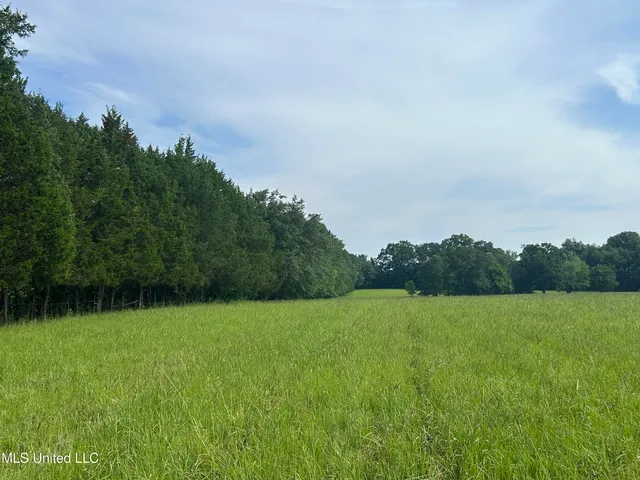 $260,000 | 1 Green Acres Drive, Canton, MS 39046