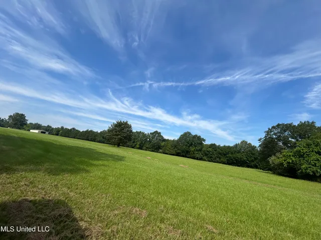 $260,000 | 1 Green Acres Drive, Canton, MS 39046