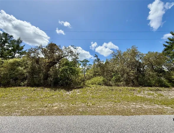 $185,000 | Thyme Court, Eustis, FL 32736