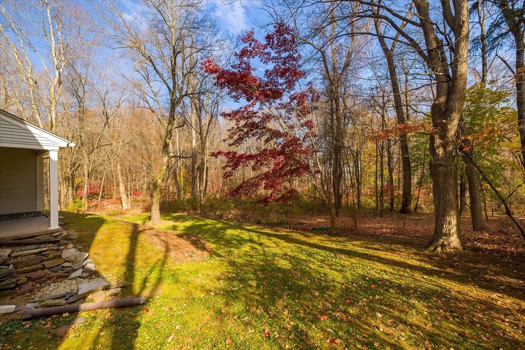 85 Franklin Road Longmeadow, MA 01106 - Photo 6 of 32 a view of yard with wooden fence