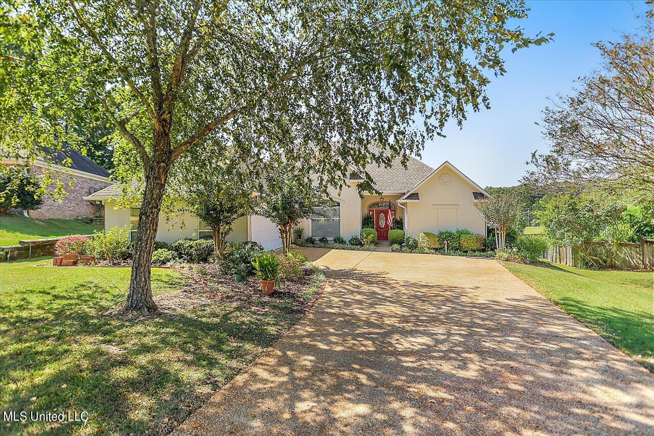 404 Ruby Cove Madison, MS 39110 - Photo 4 of 68 04-404 Ruby Cove