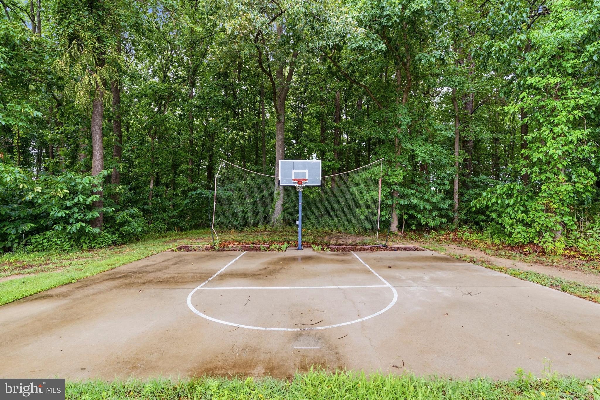 38970 Reeves Road Mechanicsville, MD 20659 - Photo 41 of 47 Backyard court ready for play.