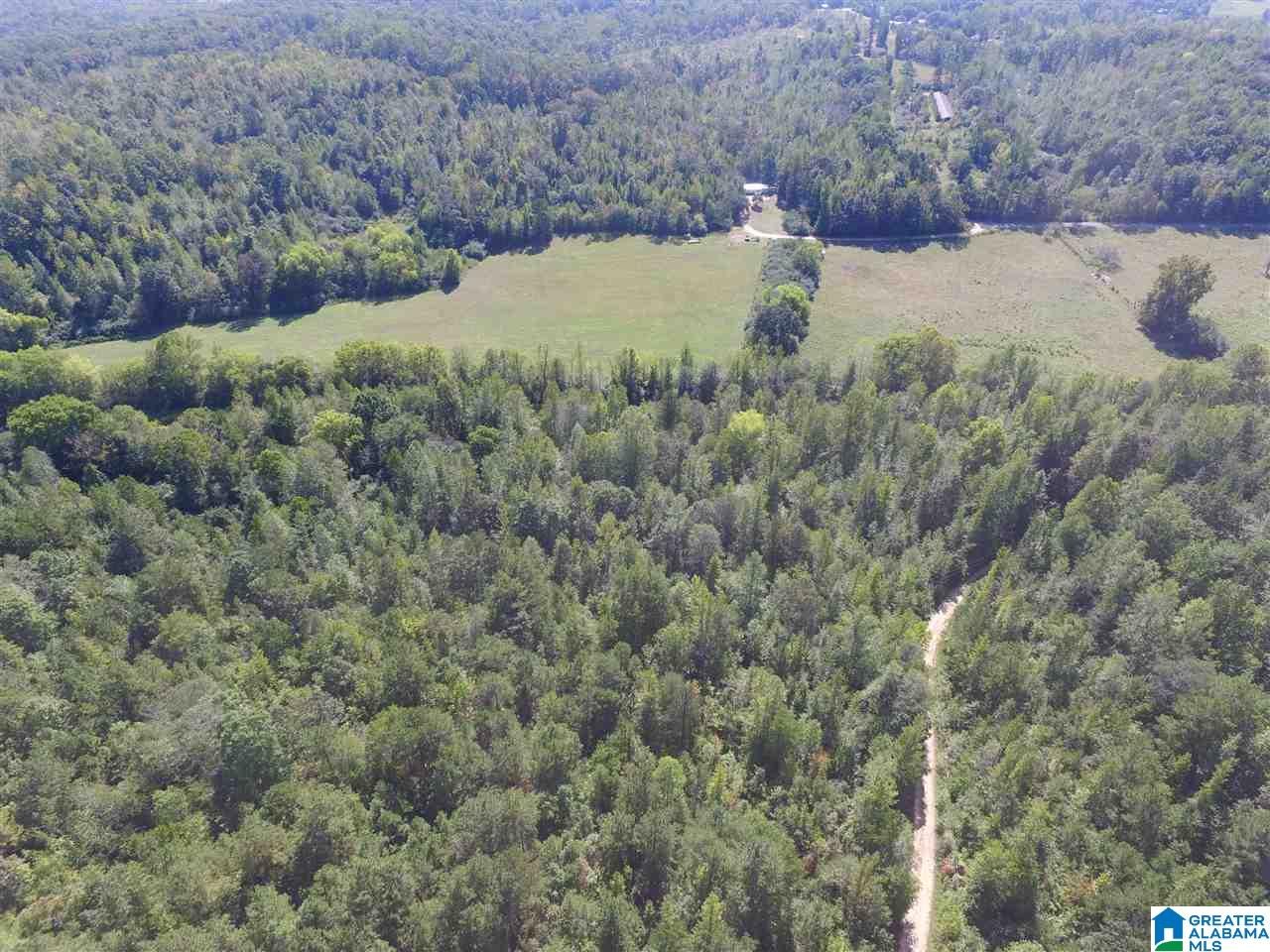 0 Bull Hollow Road, Unit 58 ACRES Gallant, AL 35972 - Photo 4 of 9