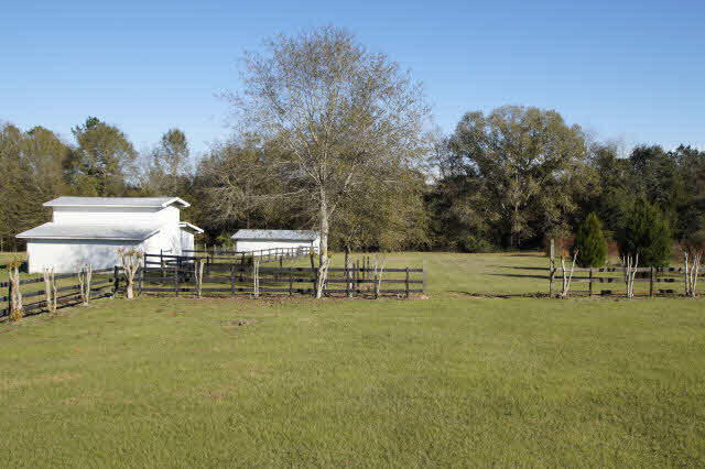 29370 Loper Road Loxley, AL 36551 - Photo 13 of 18
