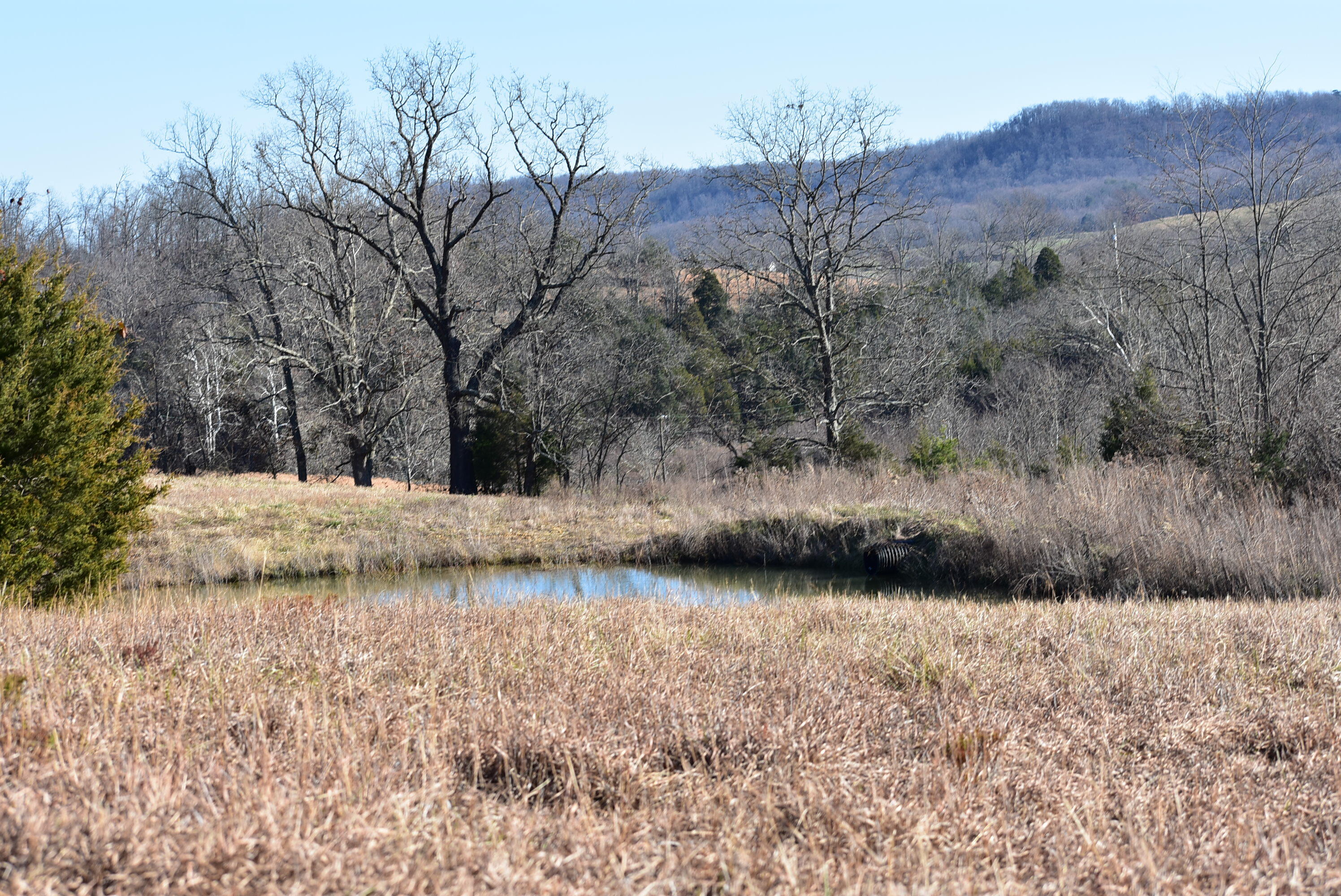 1063 Brock Road Paint Lick, KY 40461 - Photo 10 of 31 3