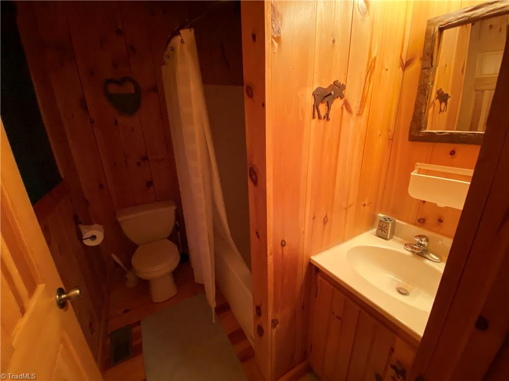 323 Doe Run Purlear, NC 28665 - Photo 4 of 10 Gallery Image 4