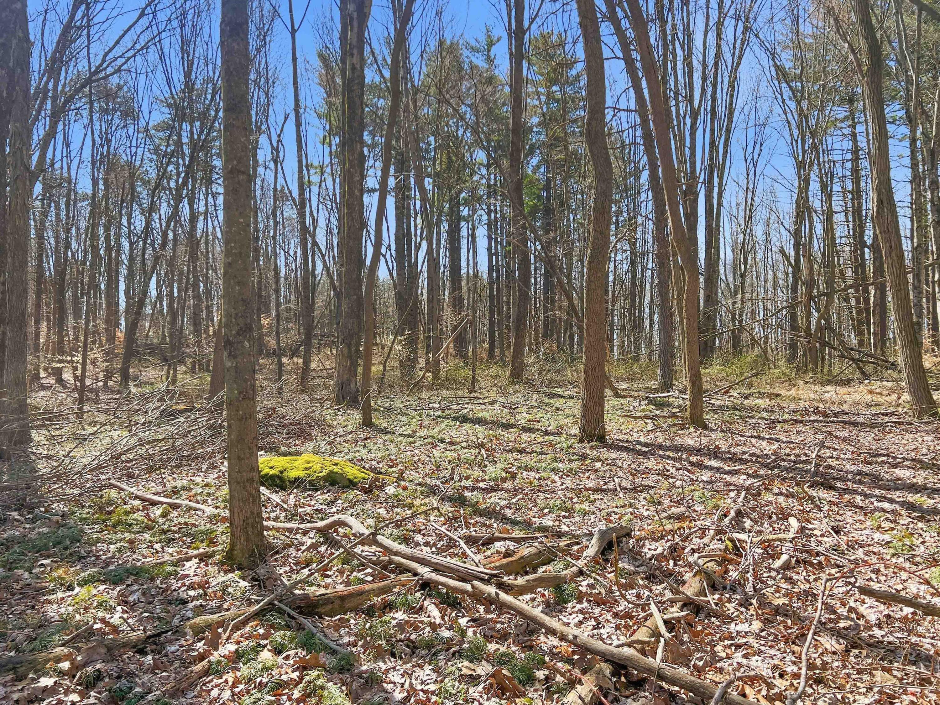 22470 Griffith Road Logan, OH 43138 - Photo 19 of 29 Griffith Rd-19