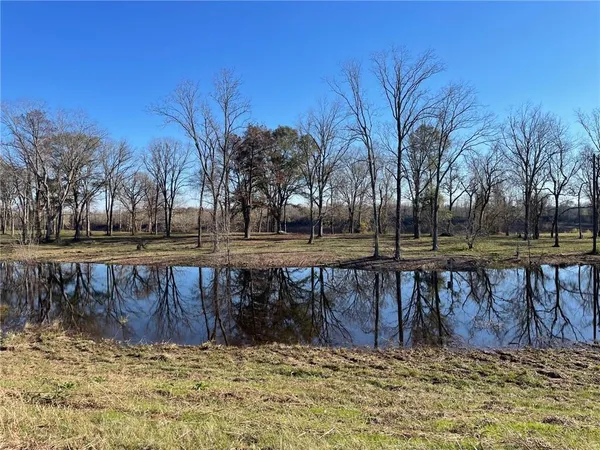 $75,000 | 0 River Rouge Plantation Road, Colfax, LA 71417