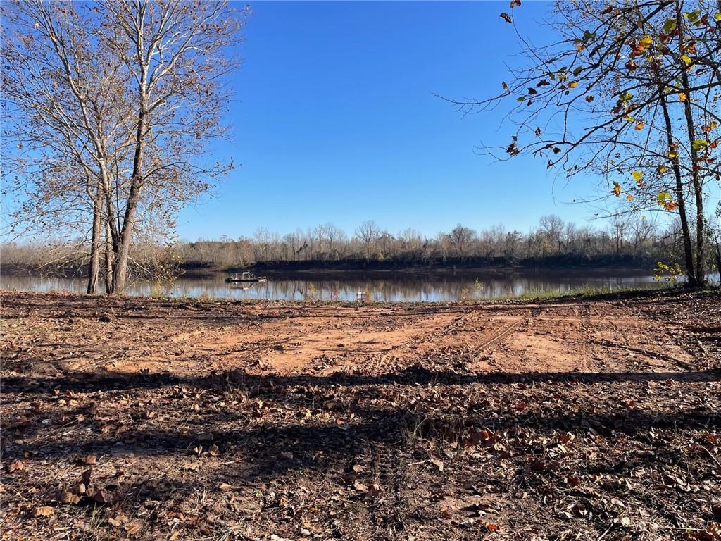 0 River Rouge Plantation Road Colfax, LA 71417 - Photo 3 of 5