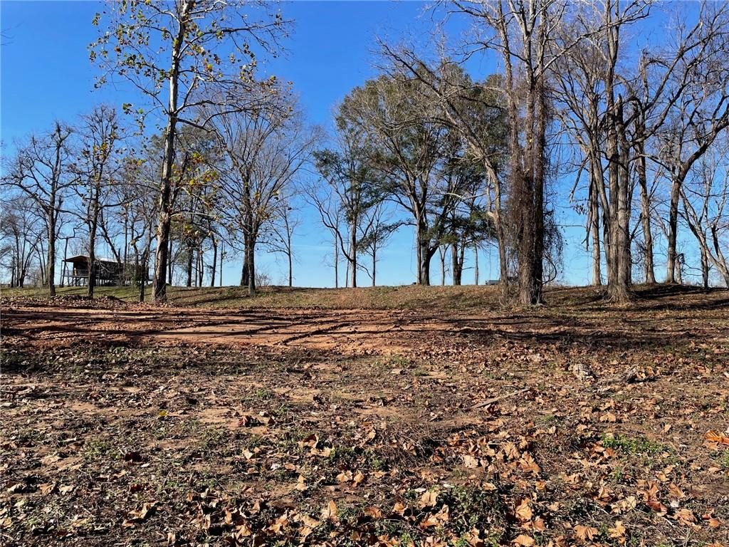 0 River Rouge Plantation Road Colfax, LA 71417 - Photo 4 of 5