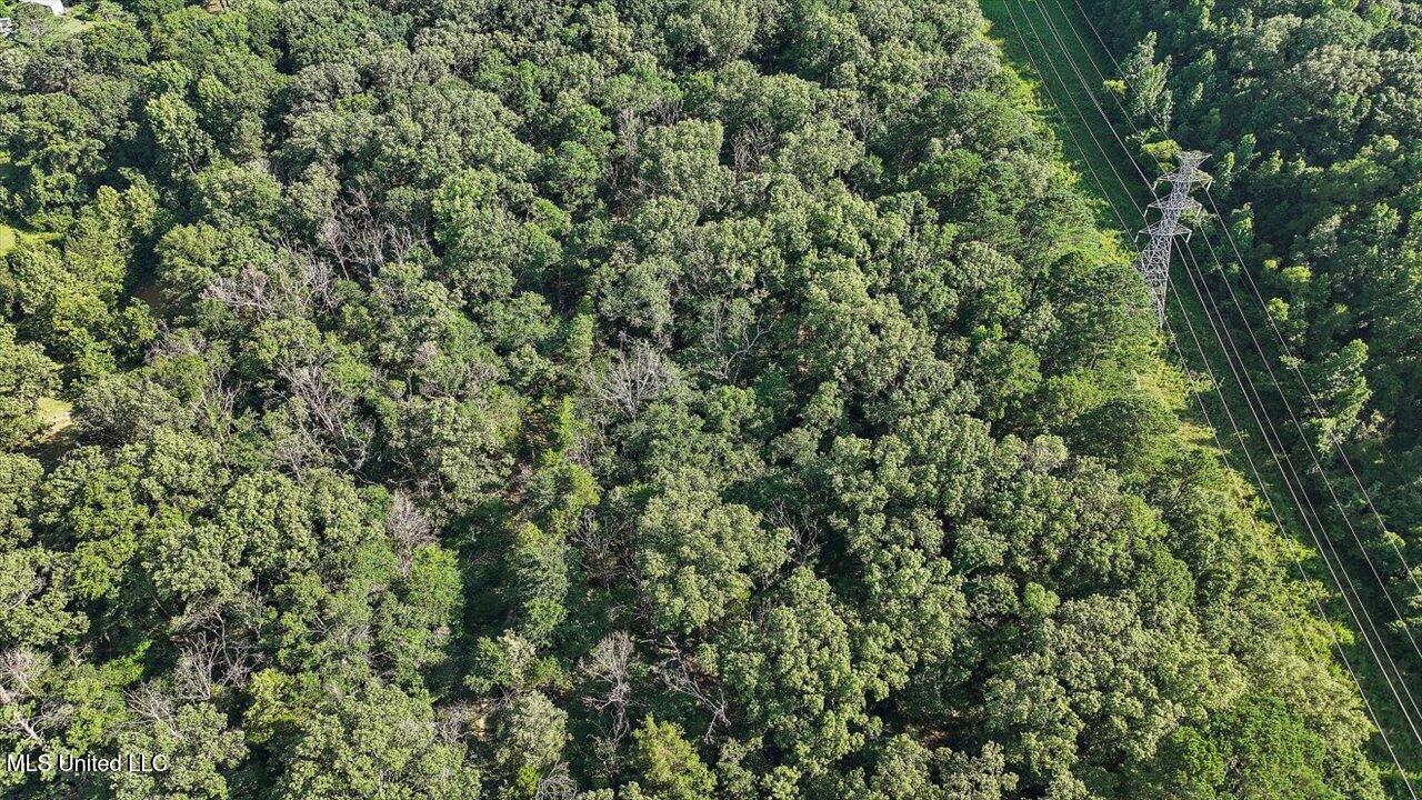 6201 McRaven Road Jackson, MS 39209 - Photo 54 of 63 55-6201 McRaven Rd