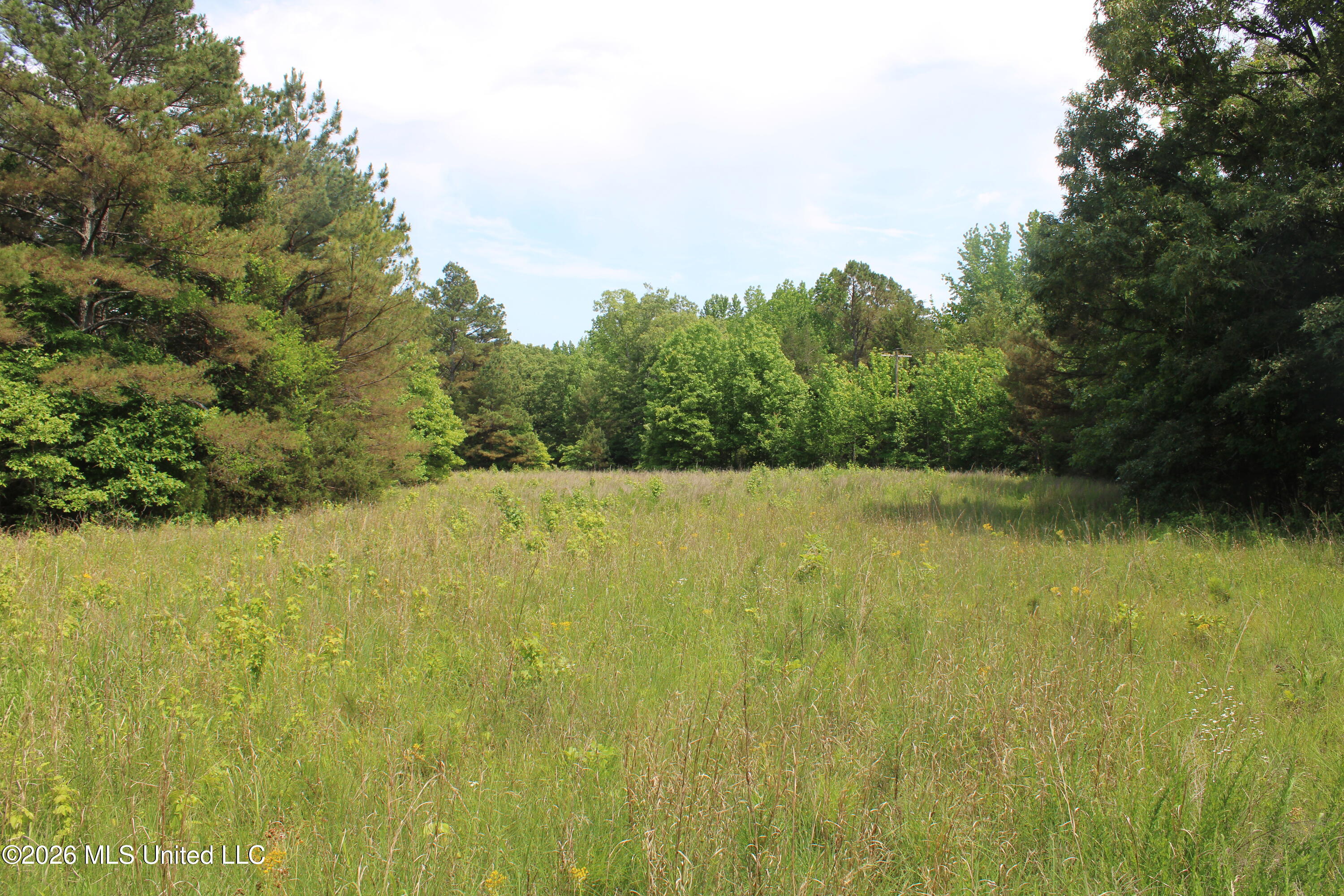 500 Boswell Road Holly Springs, MS 38635 - Photo 15 of 23 IMG_7802
