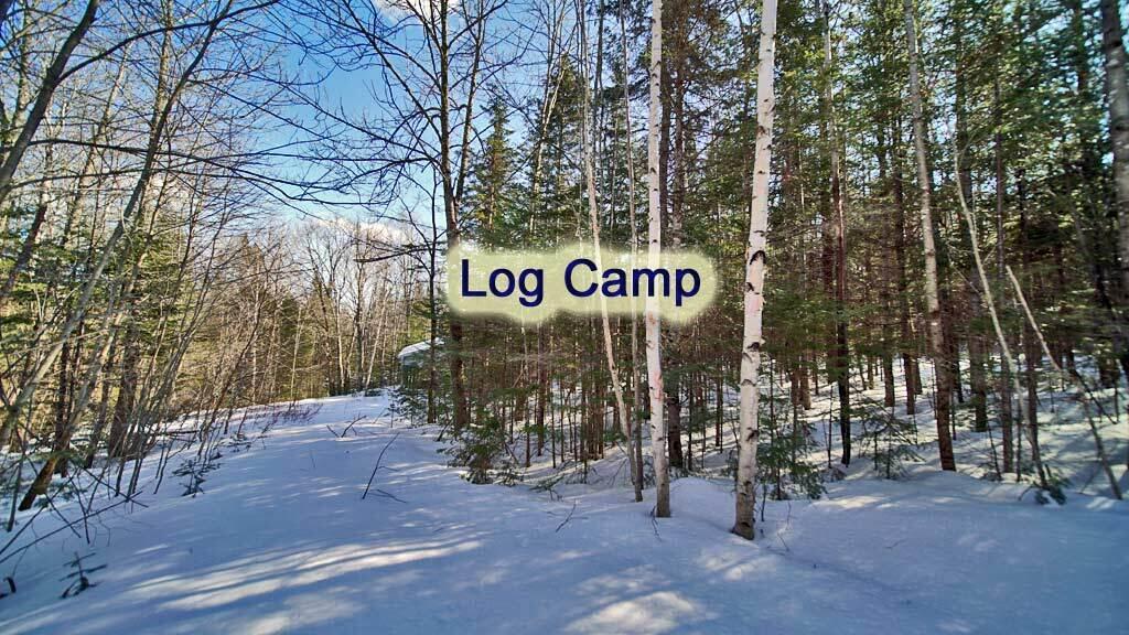 127 White Road Ludlow, ME 04730 - Photo 13 of 38 log-camp-me-woodlot