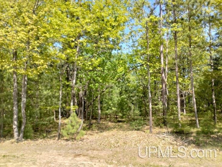 10494 Breezy R.22 Lane Rapid River, MI 49878 - Photo 5 of 5