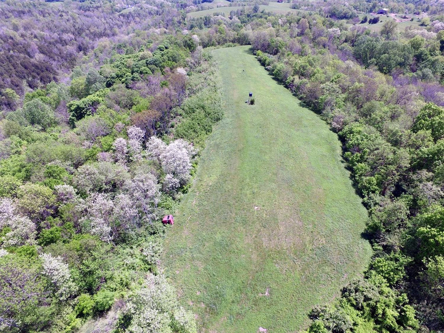 99999 Maple Grove Road Richmond, KY 40475 - Photo 18 of 21 Your farm could look like this!