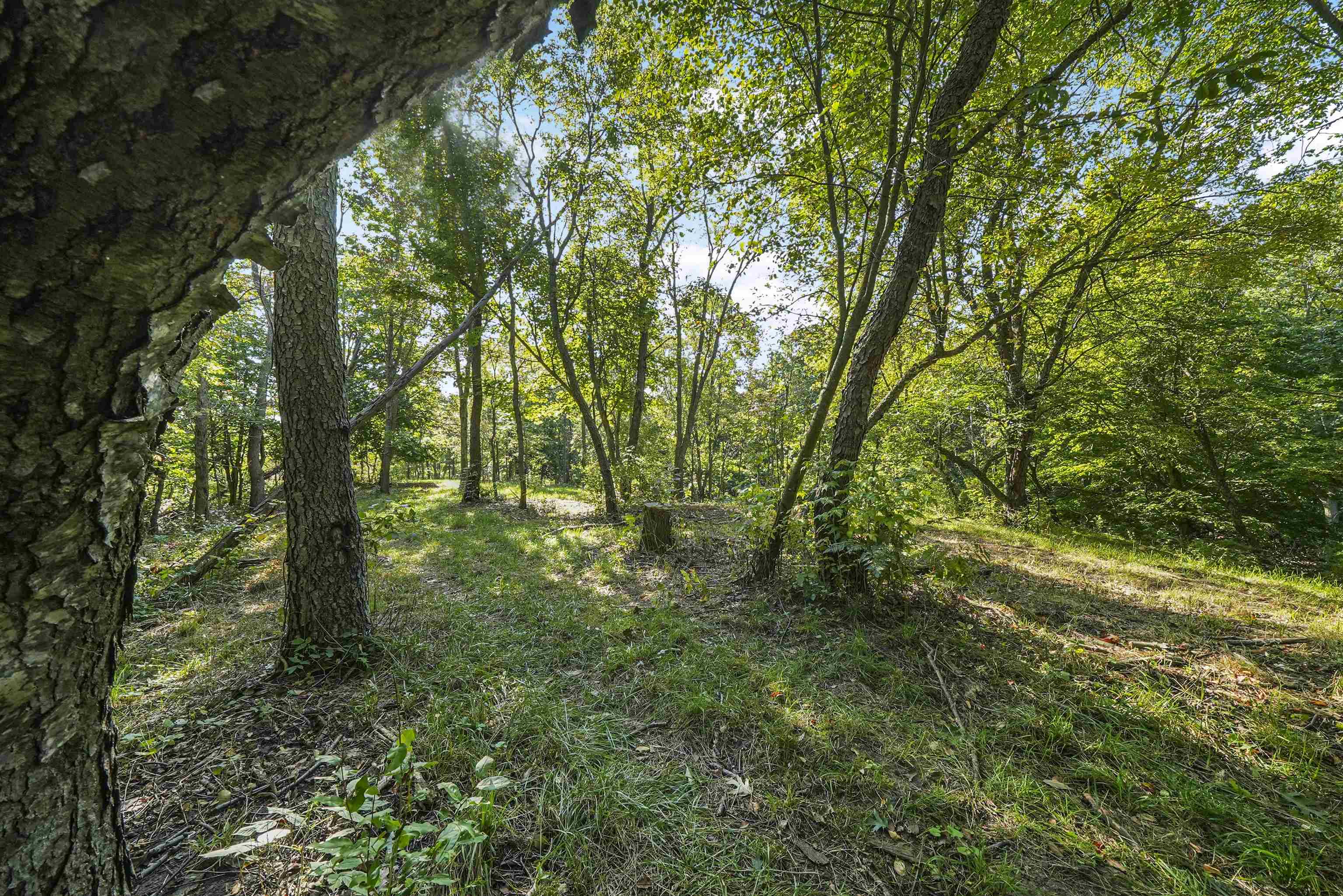 -3 Carlson Road, Unit PARCEL 3 Frankfort, MI 49635 - Photo 9 of 15
