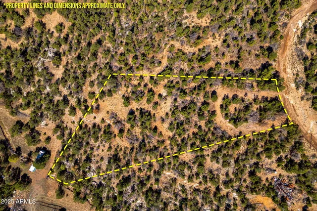 $49,900 | 3656 Zane Grey Trail, Unit 60, Overgaard, AZ 85933