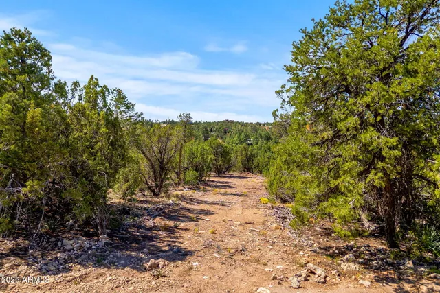 $49,900 | 3656 Zane Grey Trail, Unit 60, Overgaard, AZ 85933