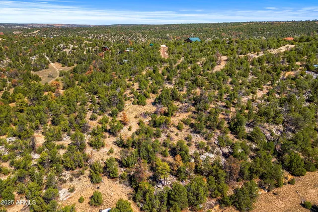 $49,900 | 3656 Zane Grey Trail, Unit 60, Overgaard, AZ 85933