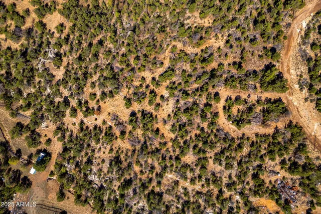 $49,900 | 3656 Zane Grey Trail, Unit 60, Overgaard, AZ 85933