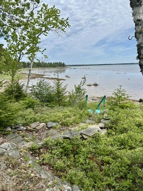 336 Rays Point Road Milbridge, ME 04658 - Photo 45 of 46