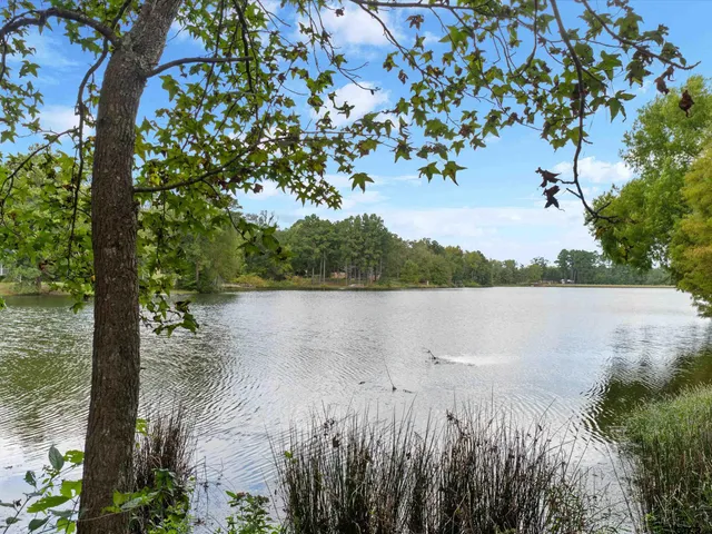 a view of lake with green space