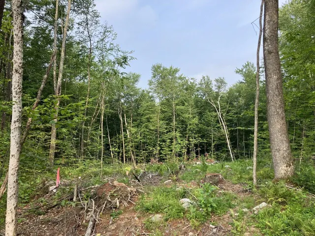 $695,000 | 4-9 Fern Lake Road, Leicester, VT 05733