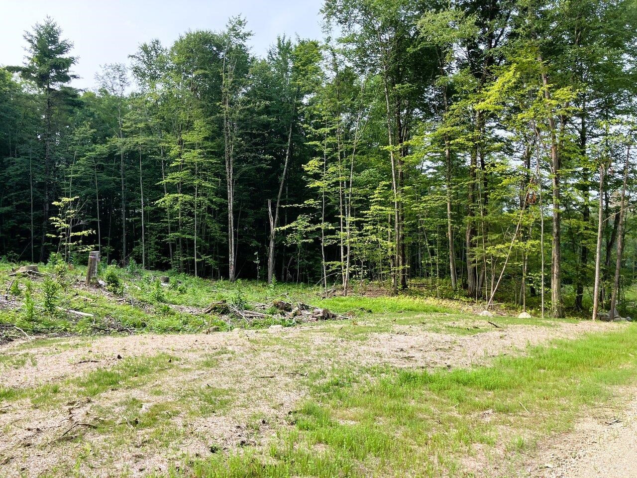 4-9 Fern Lake Road Leicester, VT 05733 - Photo 24 of 46