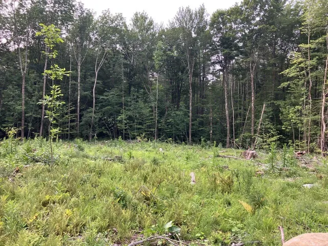 $695,000 | 4-9 Fern Lake Road, Leicester, VT 05733