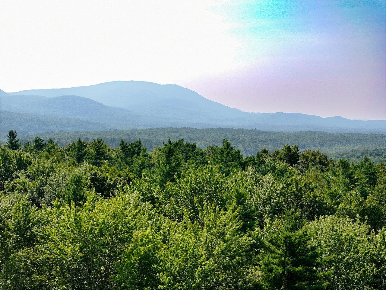 4-9 Fern Lake Road Leicester, VT 05733 - Photo 41 of 46