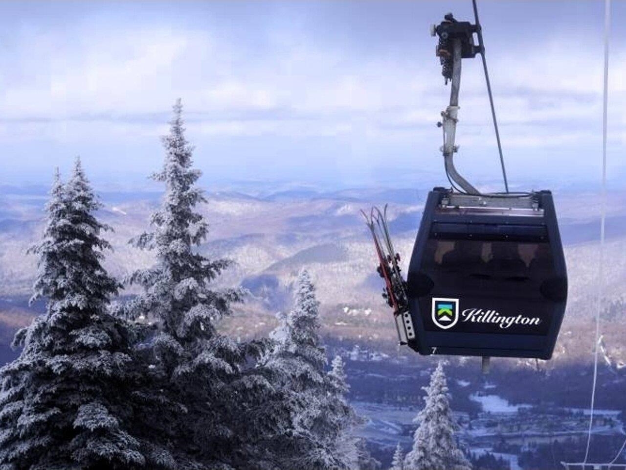 4-9 Fern Lake Road Leicester, VT 05733 - Photo 45 of 46