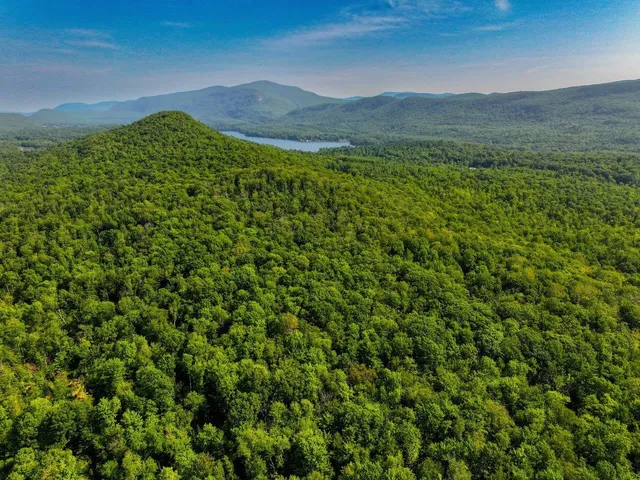 $695,000 | 4-9 Fern Lake Road, Leicester, VT 05733