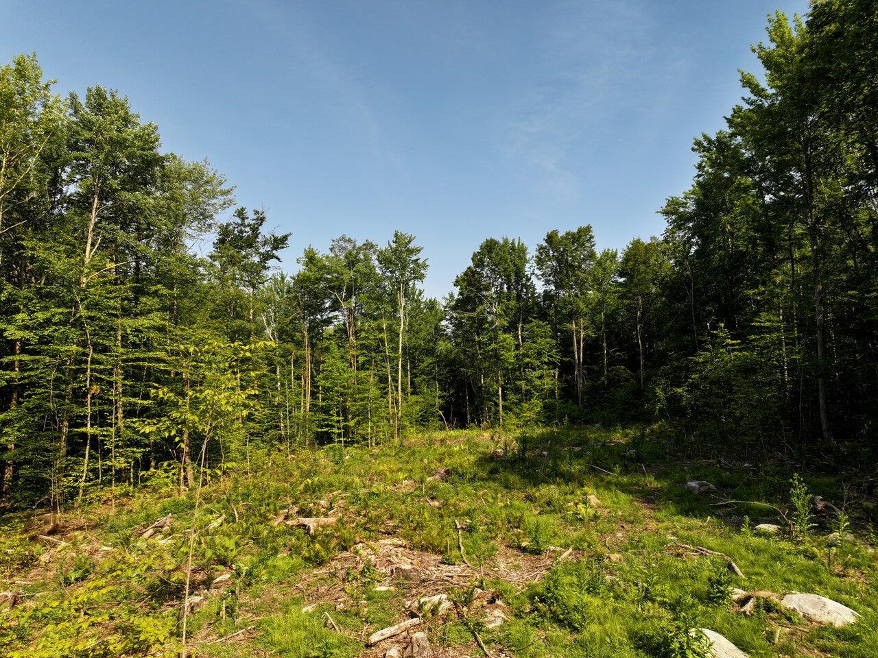 4-9 Fern Lake Road Leicester, VT 05733 - Photo 7 of 46