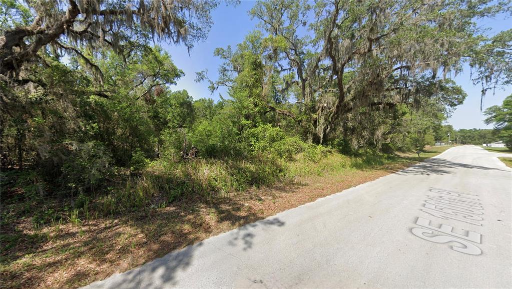 Southeast 92nd Court Summerfield, FL 34491 - Photo 2 of 4 a view of a yard with plants and large trees