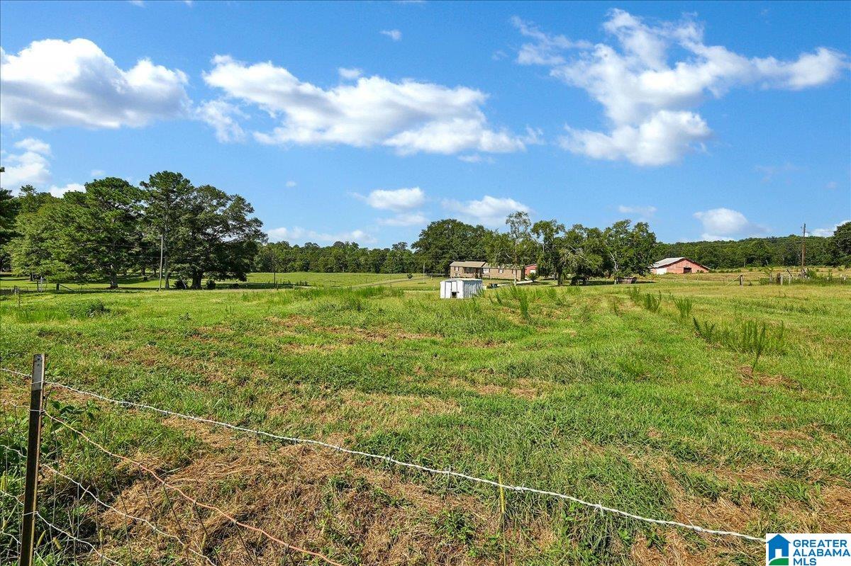 240 Marvin Adcock Road Hayden, AL 35079 - Photo 26 of 28
