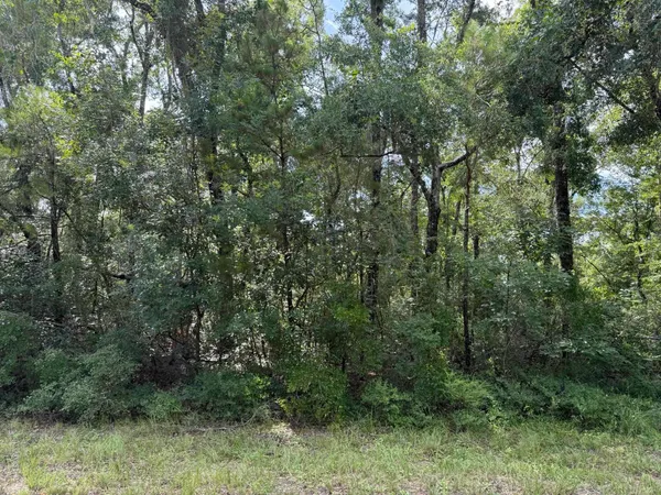$25,900 | Running Springs Drive, Live Oak, FL 32060