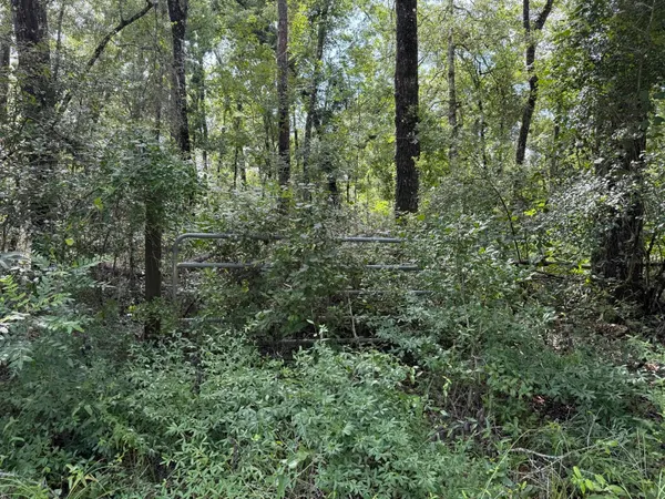 $25,900 | Running Springs Drive, Live Oak, FL 32060