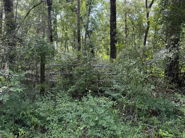 $25,900 | Running Springs Drive, Live Oak, FL 32060