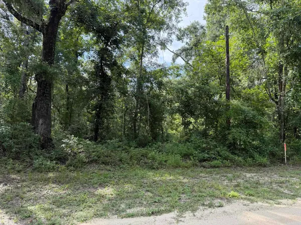 $25,900 | Running Springs Drive, Live Oak, FL 32060