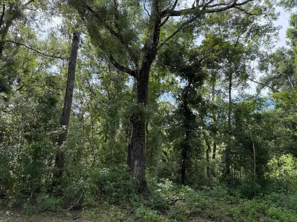 $25,900 | Running Springs Drive, Live Oak, FL 32060