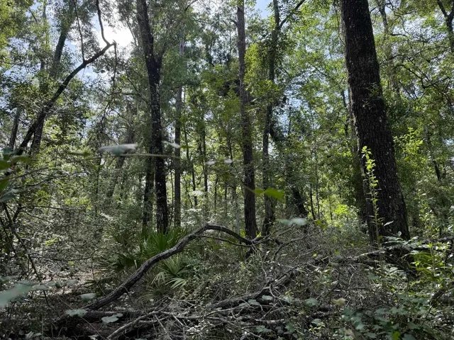 $25,900 | Running Springs Drive, Live Oak, FL 32060